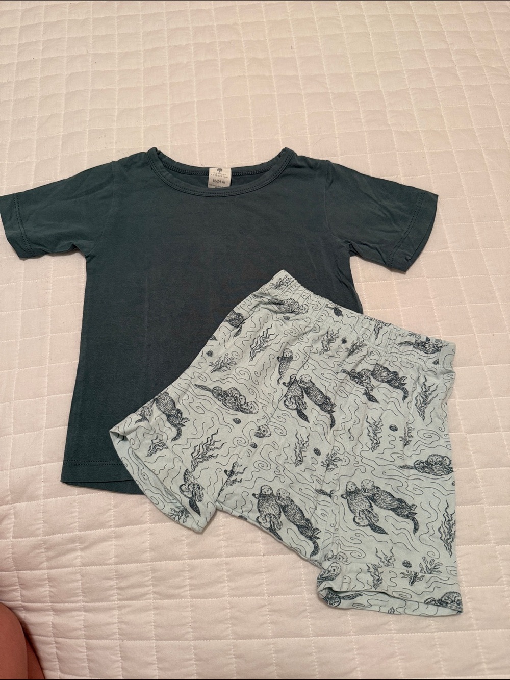 Kate Quinn Otter Print Shorts and Tee